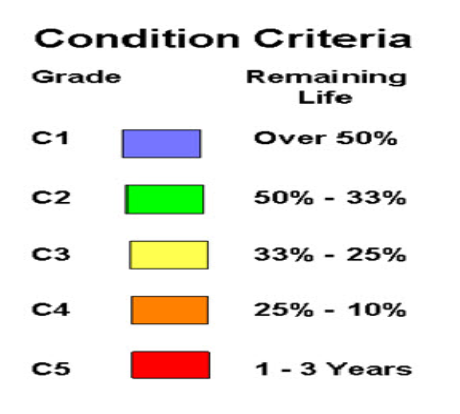 condition scale